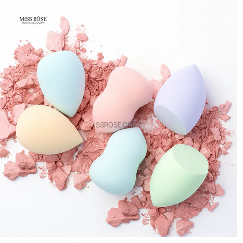 BlendPro Beauty Sponge